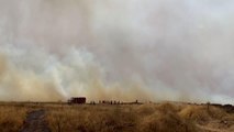 Son dakika haberleri... Fas'ta üç ilde orman yangınları kontrol altına alındı