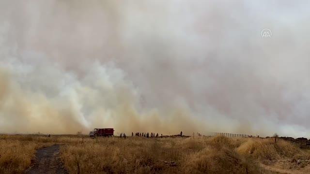 Son dakika haberleri... Fas'ta üç ilde orman yangınları kontrol altına alındı