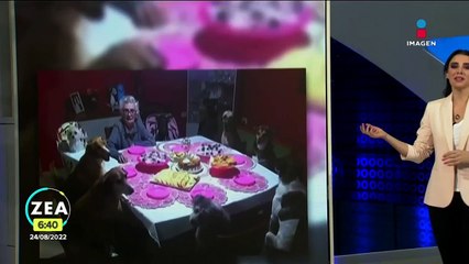VIDEO: Abuelita festeja su cumpleaños 89 con sus perros