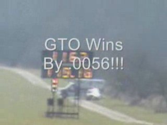 GTO vs Shelby GT 500