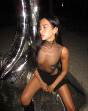 Dua Lipa's Completely Sheer Dress Featured Two Strategically-Placed Panels and a Side Cutout