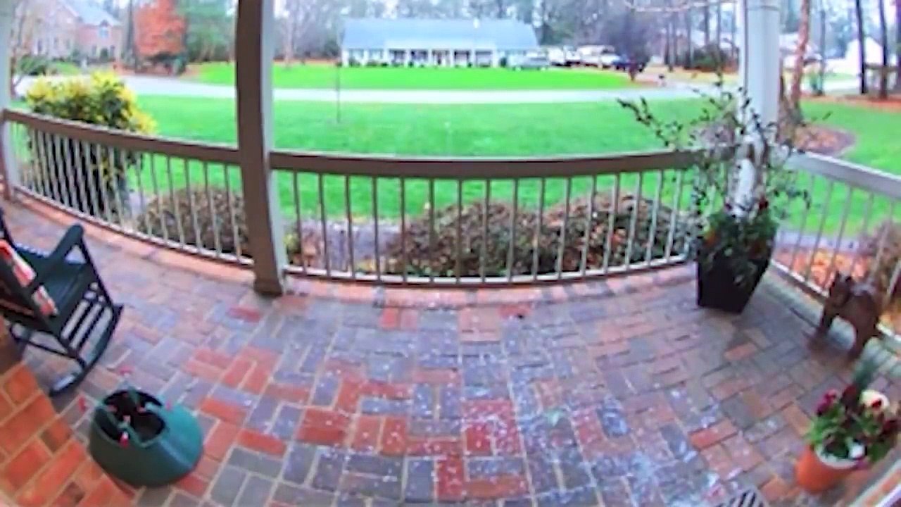 20 Craziest and Funniest Doorbell Camera Clips