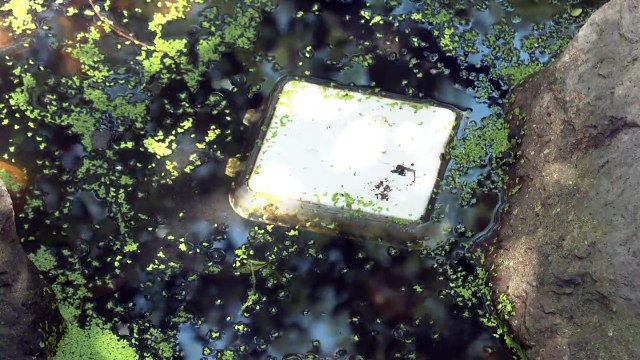 El 30 consulta pública del Programa Estatal ante el Cambio Climático | CPS Noticias Puerto Vallarta