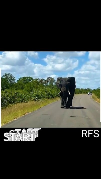 VIDEO_8a525116-f524-46de-86eb-637b3d9f90c7