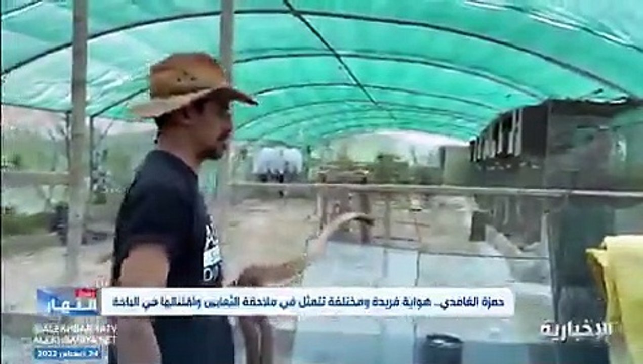 حمزة الغامدي.. صائد الثعابين يقتني الكوبرا العربية في الباحة (فيديو)