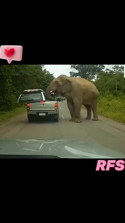 VIDEO_d1746a15-57f6-4cca-90b4-4230746f6742