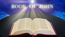 Book of John Chapters 1-10 | English Audio Bible KJV