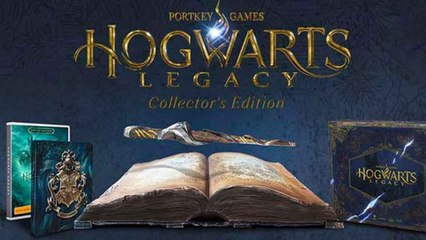 Collector Hogwarts Legacy: Price, Content, Pre-order... All about this Ultimate Harry Potter Edition