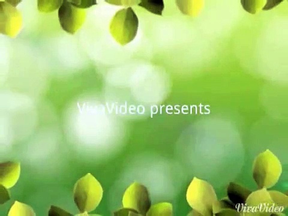 清清浅浅.mp4