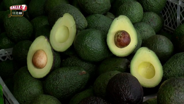 C7-diferencias-aguacates-240822