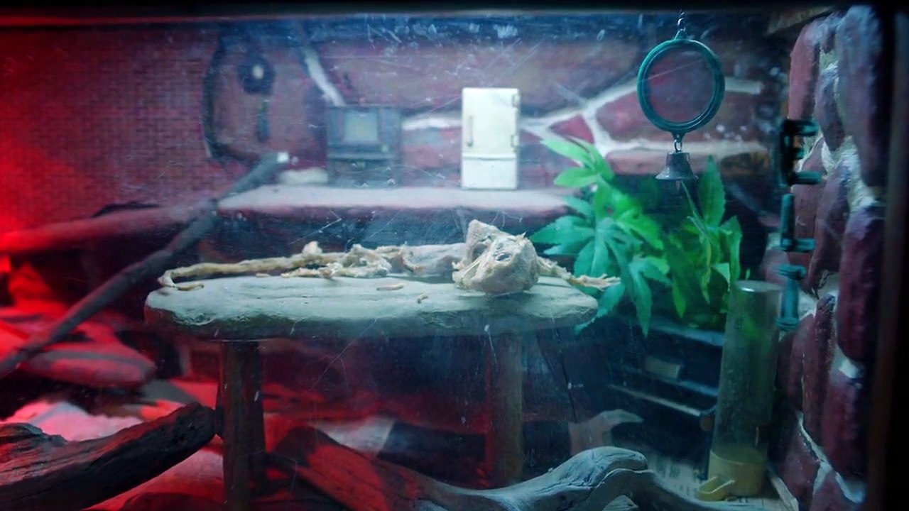 Ash vs. Evil Dead Staffel 2 Folge 2 HD Deutsch