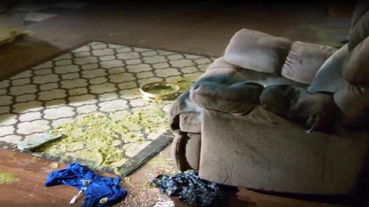 Cooper Barrett’s Guide to Surviving Life Staffel 1 Folge 7 HD Deutsch