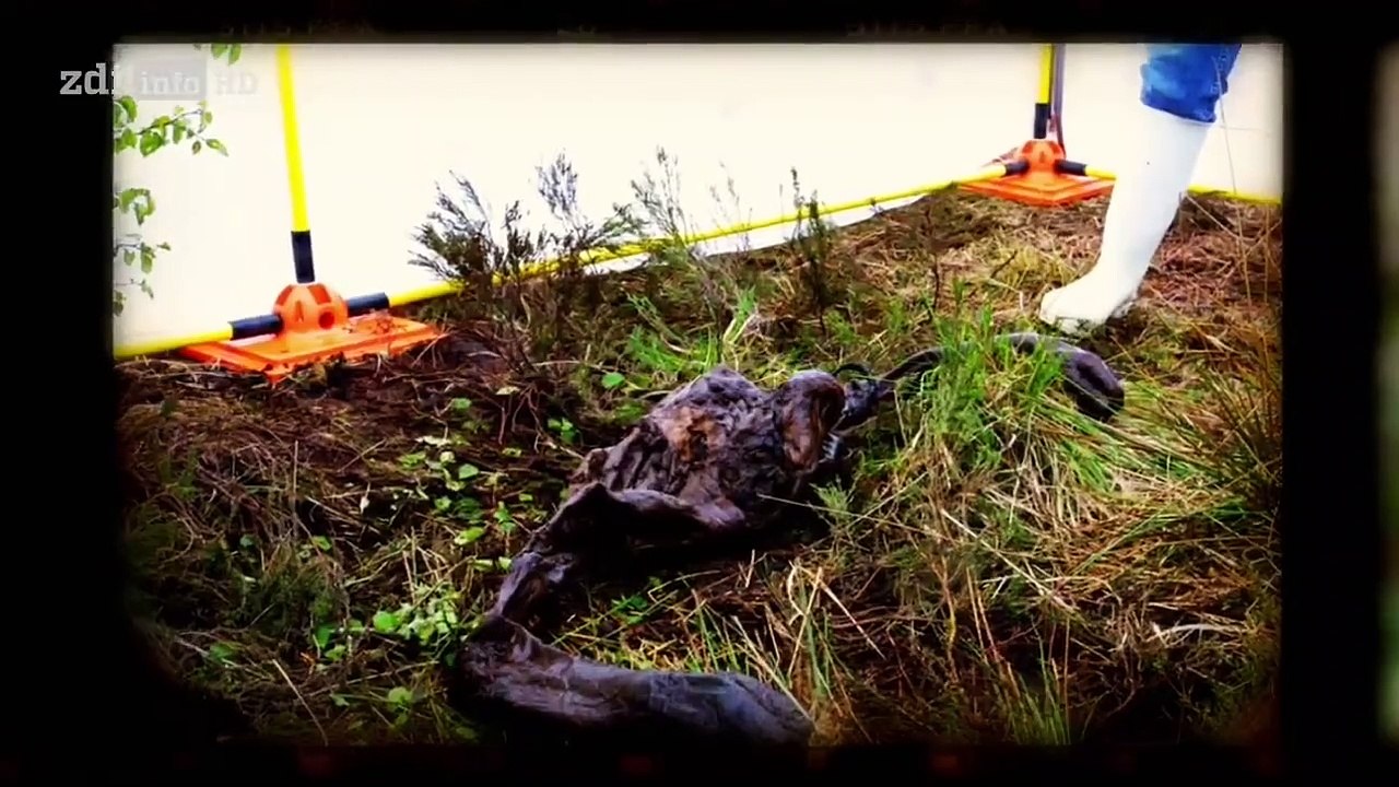 Rätselhafte Tote Staffel 1 Folge 5 HD Deutsch