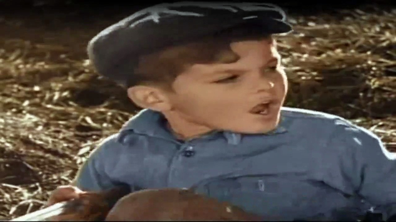 Die Kleinen Strolche Staffel 1 Folge 50 HD Deutsch