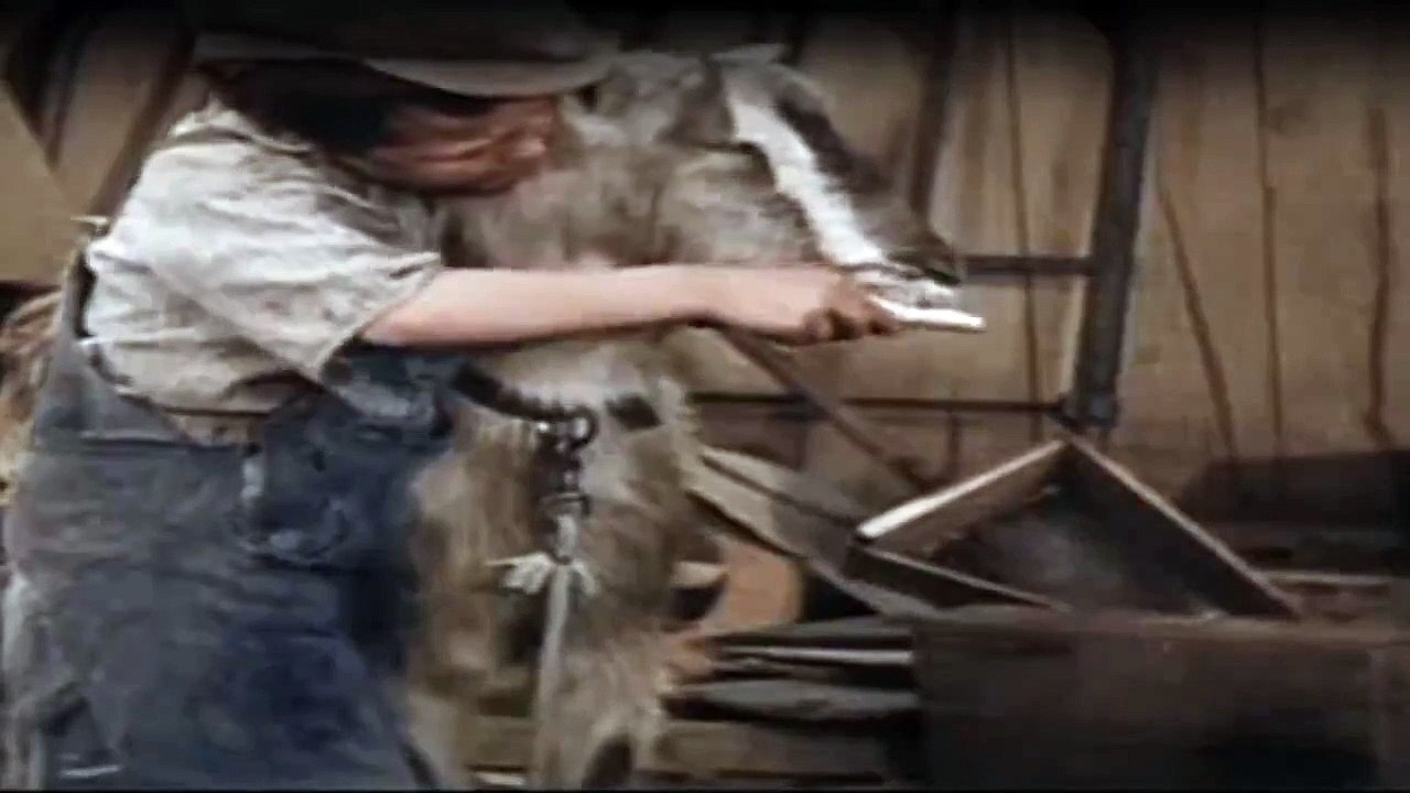 Die Kleinen Strolche Staffel 1 Folge 53 HD Deutsch