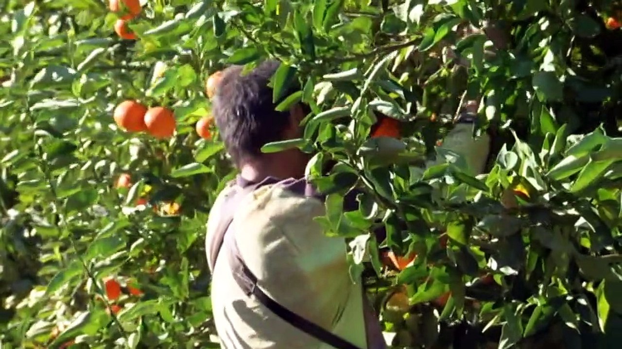 Nation's food producers call for priority at jobs summit