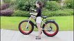 Adult Electric Bicycle Mountain Bike Aluminum Alloy 1000 W Ebike Techshahin24