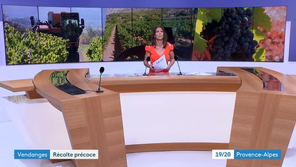 Des vendanges précosses à Puyloubier FRCE3-19/20 23AOUT2022