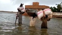 Hundreds killed in catastrophic flooding in Pakistan