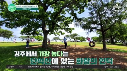 요즘 뜨는 여행지, 경주 BEST 3!! 그 첫 번째 여행지는? ★화랑의 언덕★