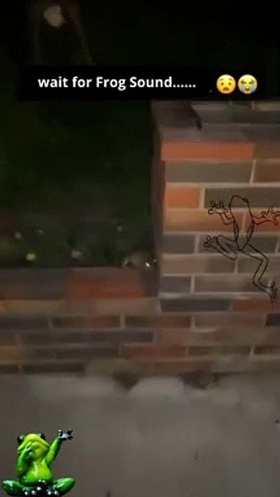 wait for Frog