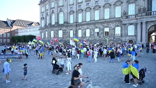 Danimarka'da Ukrayna'nın Bağımsızlık Günü dolayısıyla yürüyüş düzenlendi