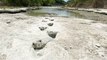 Texas drought reveals dinosaur footprints from nearly 113 million years ago