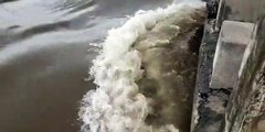 Gujarat Monsoon News Video गलतेश्वर के समीप महीसागर नदी का पुल आवाजाही के लिए बंद