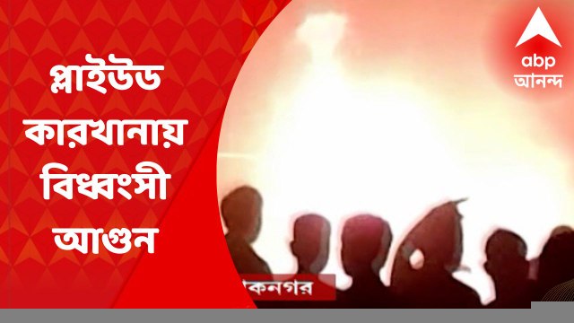 Asokenagar Fire: উত্তর ২৪ পরগনার অশোকনগরে প্লাইউড কারখানায় বিধ্বংসী আগুন। লক্ষাধিক টাকা ক্ষতির আশঙ্কা। Bangla News