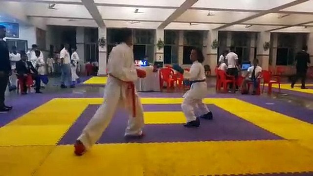 KARATE MARTIAL Arts fighting video