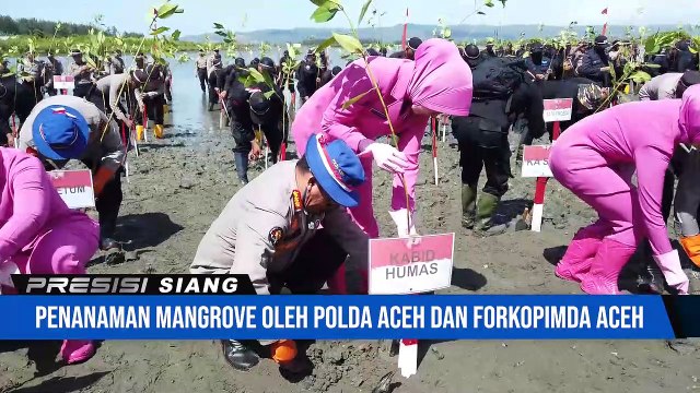 Forkopimda Aceh Tanam 77 Ribu Mangrove Serentak