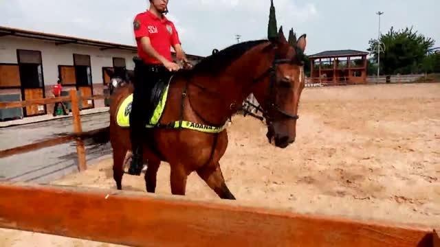 Son dakika haber... Atlı polisler toplumsal olaylara karşı tatbikat yaptı