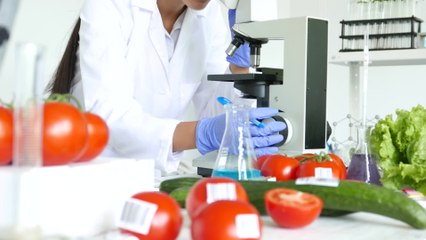 Study surprises with food ranking: Ice cream found healthier than a multigrain bagel