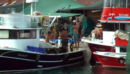 Palamutun en iyi sezonu olabilir: Karadeniz’de balıkçılar gün sayıyor