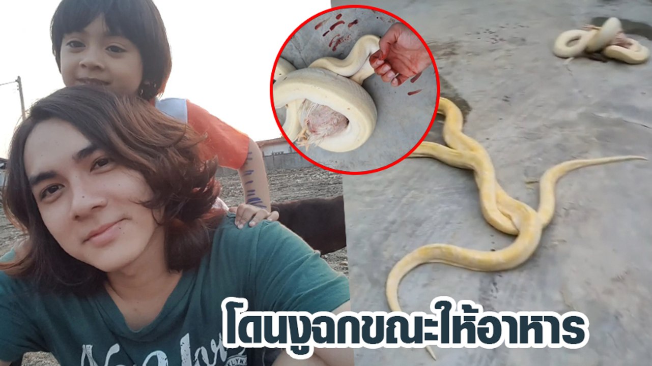 แน็ก ชาลี โดนงูฉก ขณะให้อาหาร เลือดไหลเต็มพื้น...