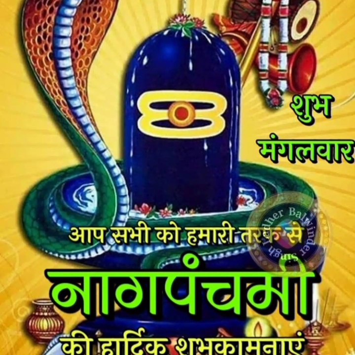 श्रावणी नाग पंचमी 