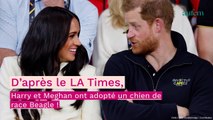 Meghan Markle et le prince Harry : le couple a agrandi la famille !
