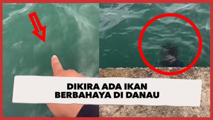 Kocak! Dikira Ada Ikan Berbahaya di Danau, Endingnya Malah Bikin Salting