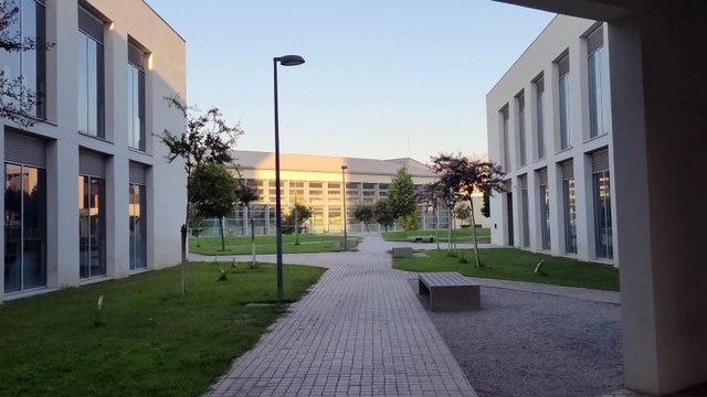 Samsung Galaxy Z Fold4 - 8K 24 FPS