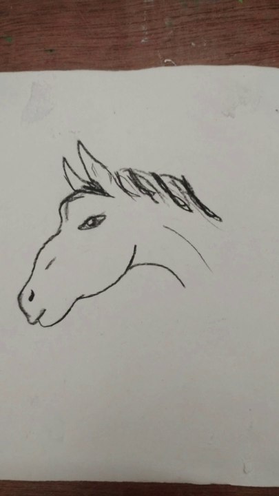 Easy horse drawing