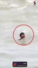 ‘રામ રાખે તેને કોણ ચાખે..!’ મગરના મુખમાંથી બાળક માંડ-માંડ બચ્યો