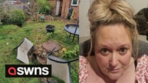 UK woman says she has been made a ‘prisoner in her own home’ because of BADGERS