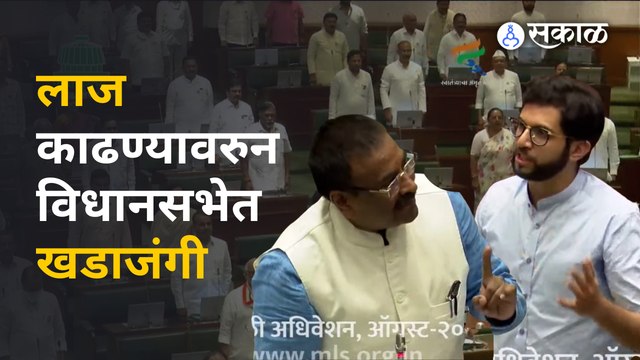 Aditya Thackeray यांनी लाज वाटते म्हटलं, विधानसभेत गोंधळ उडाला