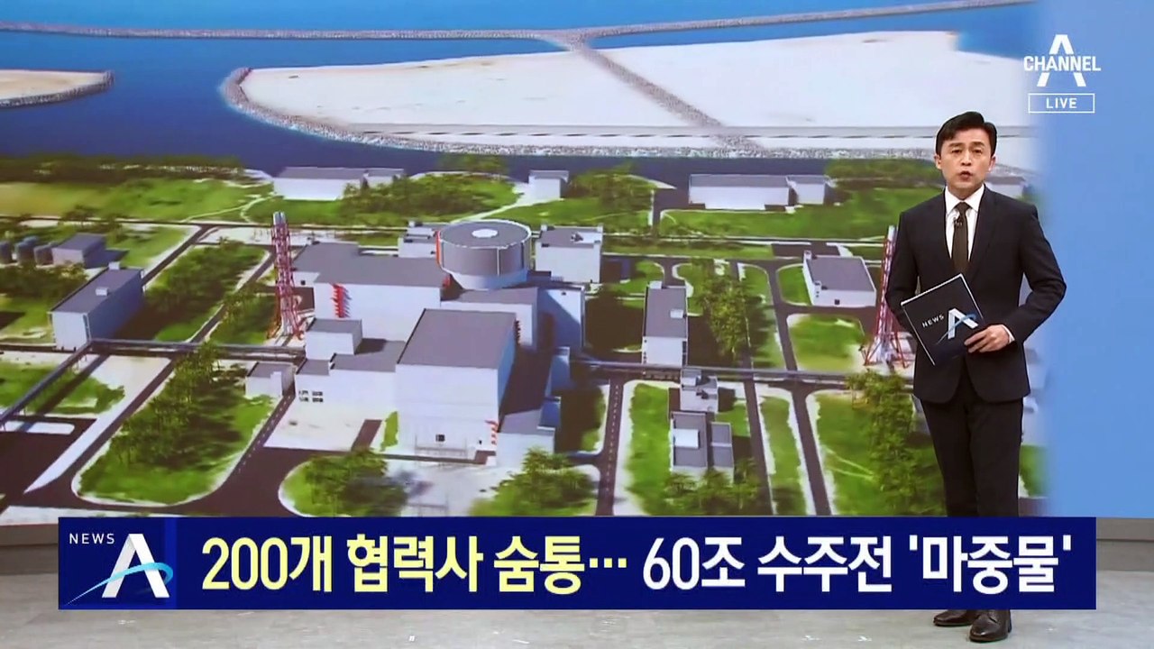 13년 만에 해외 원전 수주 성공…60조 수주전 ‘마중물’