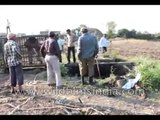 Endangered Asiatic Lion rescued from well in India