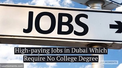 High-paying Jobs in Dubai Which Require No College Degree