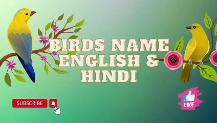 Learn the Names of Birds in English and Hindi 🐦