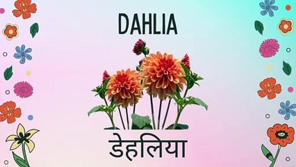 Complete List of Flower Names in English & Hindi 🌸