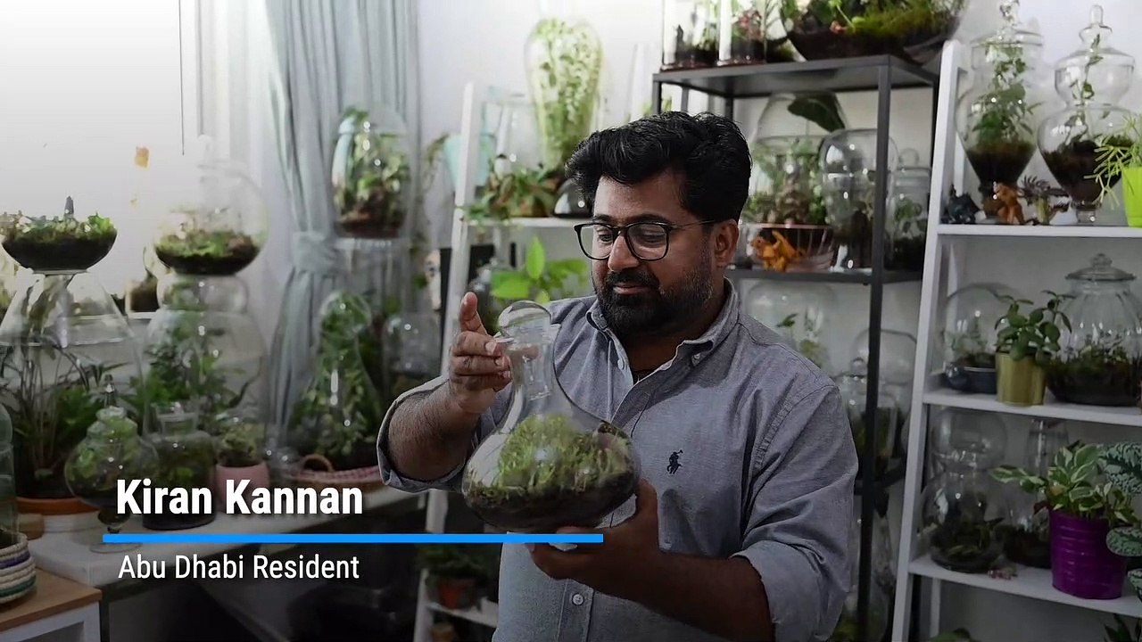 Closed Terrarium explanation