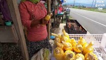 Street Food Indonesia - Grilled Corn with Sweet Spicy Sauce